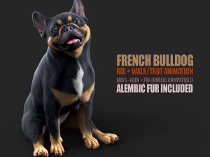 French BullDog (ANIMATED) (XGEN-CORE)